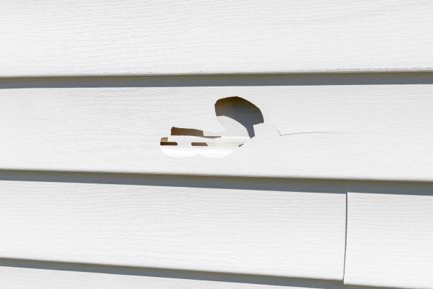 Custom Trim and Detailing for Siding in Savanna, IL